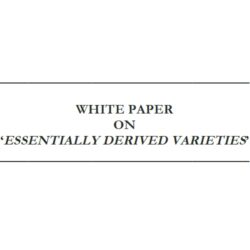 White Paper On ‘Essentially Derived Varieties’