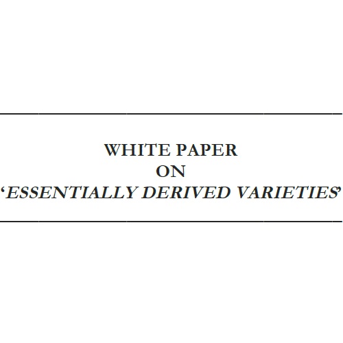 White Paper on ‘Essentially Derived Varieties’
